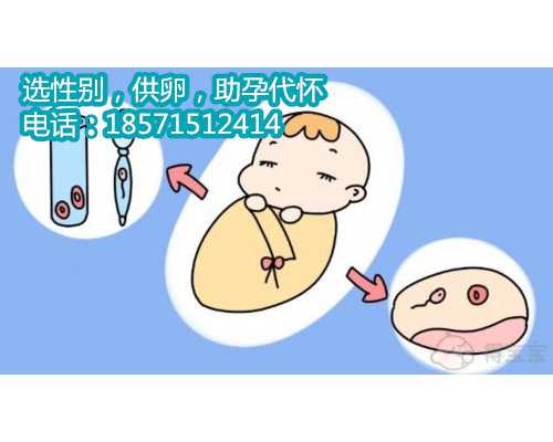 广州试管囊胚移植成功率高吗?哪些人适合移植囊胚? 广州单身男性做试管婴儿